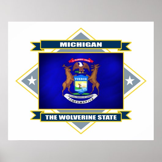 Michigan Diamond Poster (Voorkant)