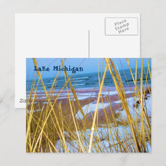 Michigan Dune Grass Post Kaart (Voorkant / Achterkant)