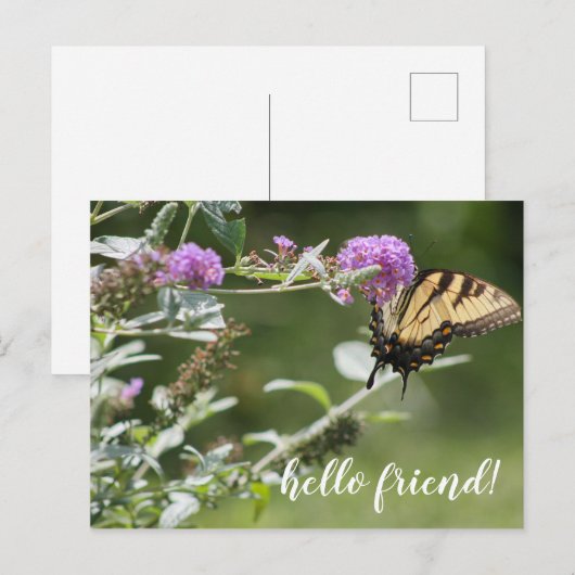 Michigan Eastern Swallowtail Butterfly Briefkaart (Voorkant / Achterkant)