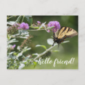 Michigan Eastern Swallowtail Butterfly Briefkaart (Voorkant)