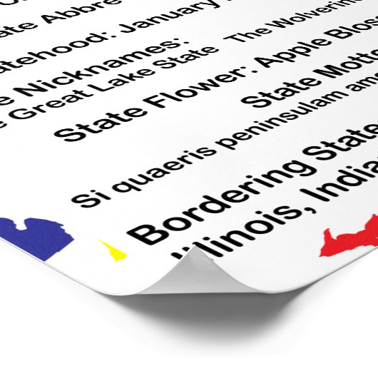 Michigan Educational Fact US State Poster (Hoek)