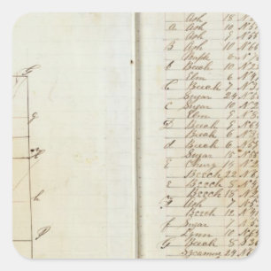 Michigan en Indiana Survey 3 Vierkante Sticker