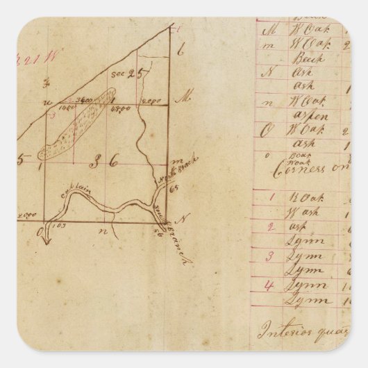 Michigan en Indiana Survey Vierkante Sticker (Voorkant)