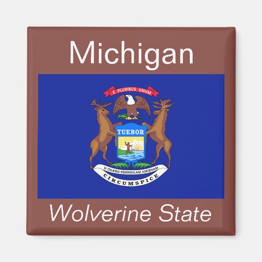 Michigan Flag Magnet (Voorkant)