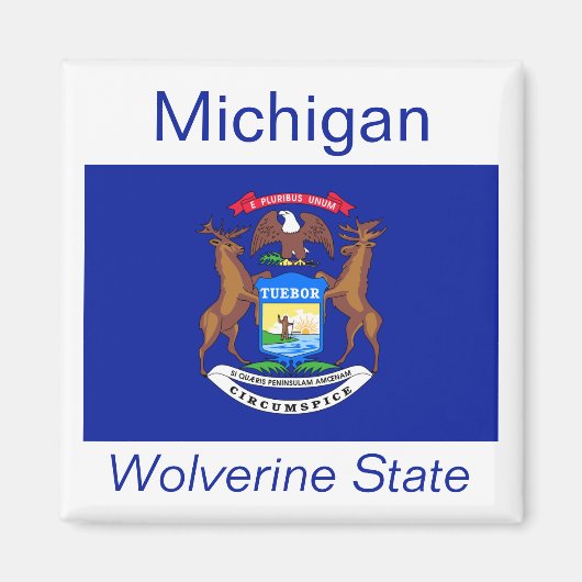Michigan Flag Magnet (Voorkant)