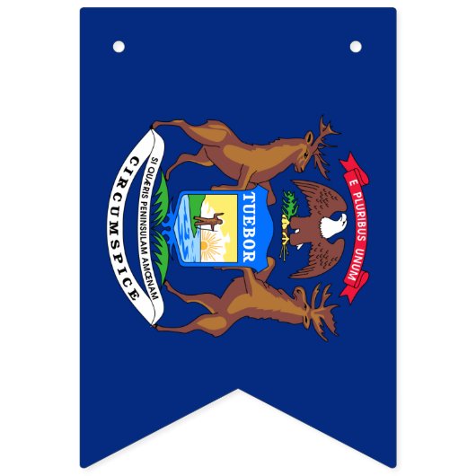 Michigan Flag Party, bunting Banners / bruiloft (Eerste vlag)