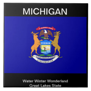 Michigan Flag Tegeltje