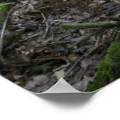 Michigan Forest print (Hoek)