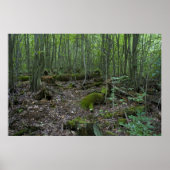 Michigan Forest print (Voorkant)