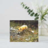 Michigan Fox Briefkaart (Staand voorkant)