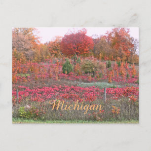 MICHIGAN HILLSIDE VLAM MET KLEUR BRIEFKAART