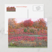 MICHIGAN HILLSIDE VLAM MET KLEUR BRIEFKAART (Voorkant / Achterkant)