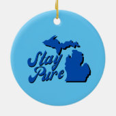 Michigan - Kaart overzicht Ornament (Achterkant)