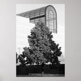 Michigan Library & Historical Center Poster