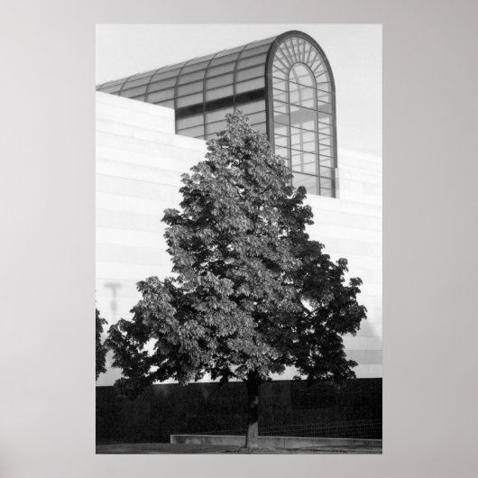 Michigan Library & Historical Center Poster (Voorkant)