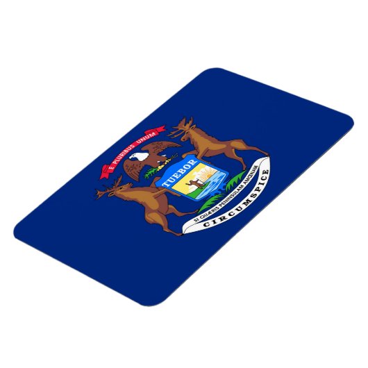 Michigan Magneet (Linkerzijde)