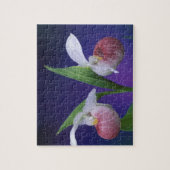 Michigan, Nationaal Park Bruce Peninsula. Showy Legpuzzel (Verticaal)