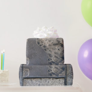 Michigan Petoskey Stone Cadeaupapier