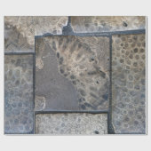 Michigan Petoskey Stone Cadeaupapier (Vlak)