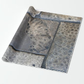 Michigan Petoskey Stone Cadeaupapier (Uitgerold)