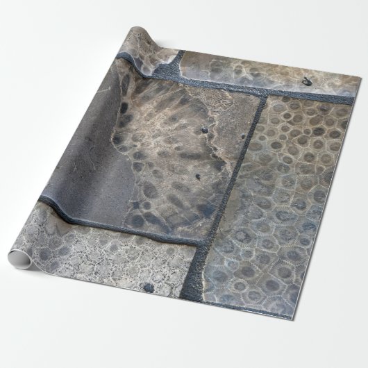 Michigan Petoskey Stone Cadeaupapier (Uitgerold)