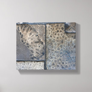 Michigan Petoskey Stone Canvas Afdruk