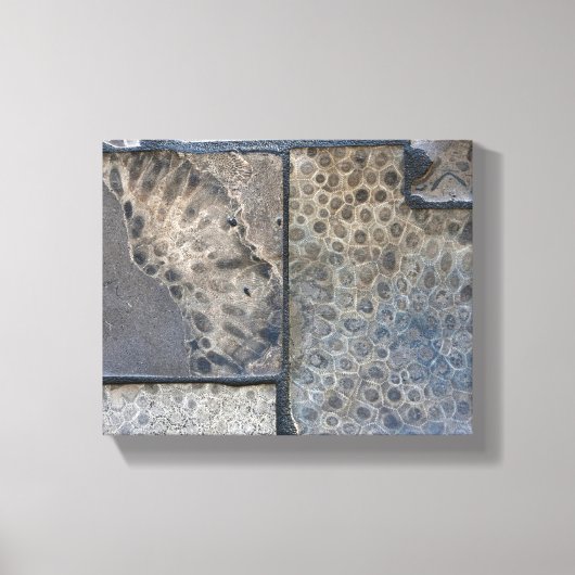 Michigan Petoskey Stone Canvas Afdruk (Voorkant)