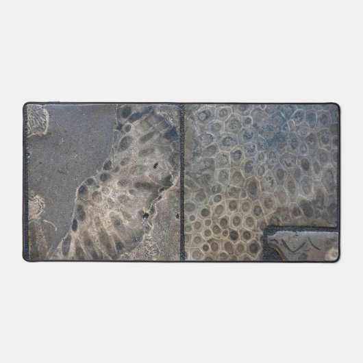 Michigan Petoskey Stone Design Bureaumat (Voorkant)