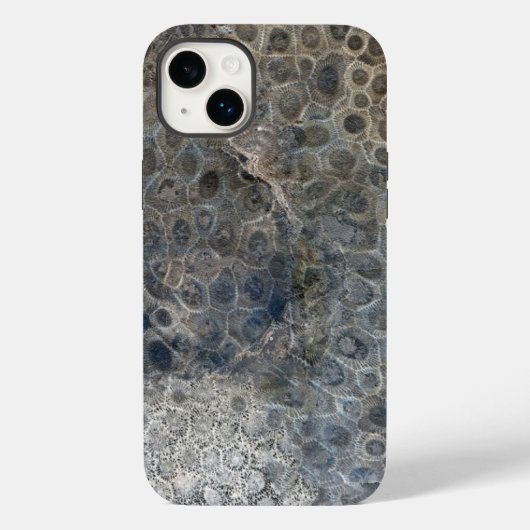 Michigan Petoskey Stone Design Case-Mate iPhone Case (Achterkant)