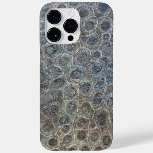Michigan Petoskey Stone Design Case-Mate iPhone Case (Achterkant)