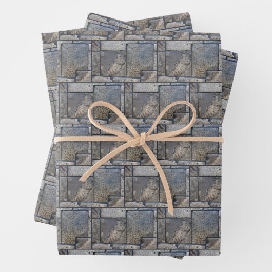 Michigan Petoskey Stone Design Inpakpapier Vel (In situ)