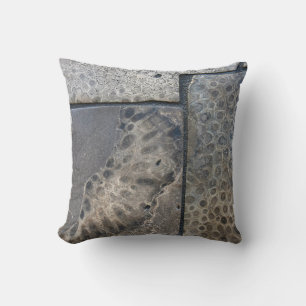 Michigan Petoskey Stone Design Kussen
