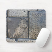 Michigan Petoskey Stone Design Muismat (Met muis)
