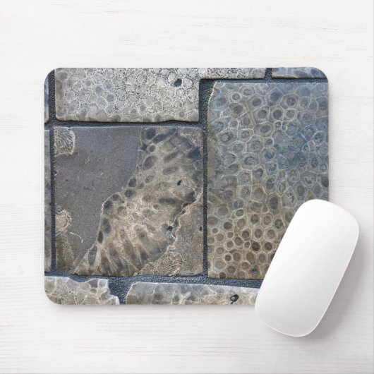 Michigan Petoskey Stone Design Muismat (Met muis)