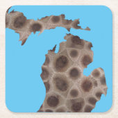 Michigan Petoskey Stone, Grote Meren mitten Kartonnen Onderzetters (Voorkant)