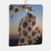 Michigan Petoskey Stone, Grote Meren mitten Keramisch Ornament (Rechts)