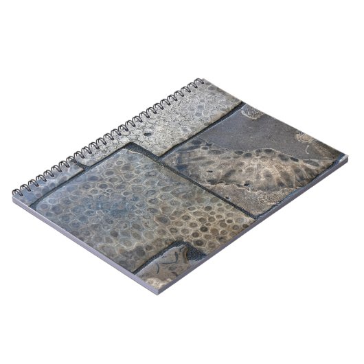 Michigan Petoskey Stone Notitieboek (Linkerzijde)