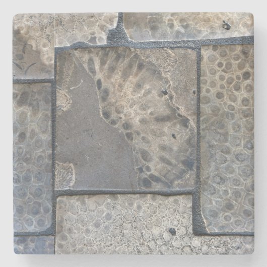 Michigan Petoskey Stone Onderzetter (Voorkant)