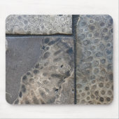 Michigan Petoskey Stone Onderzetter Muismat (Voorkant)