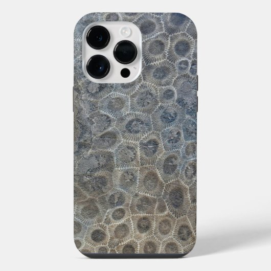 Michigan Petoskey Stone Ontwerp  iPhone Hoesje (Achterkant)