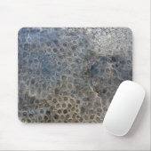 Michigan Petoskey Stone Pattern Muismat (Met muis)