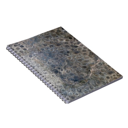 Michigan Petoskey Stone Pattern Notitieboek (Rechterzijde)