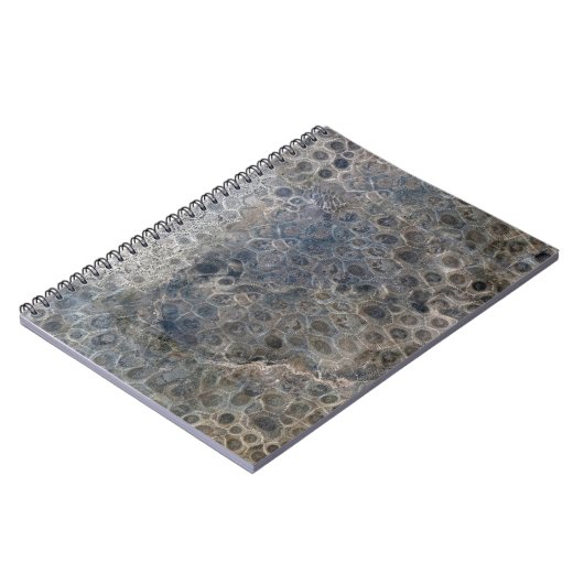 Michigan Petoskey Stone Pattern Notitieboek (Linkerzijde)