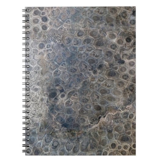 Michigan Petoskey Stone Pattern Notitieboek (Voorkant)
