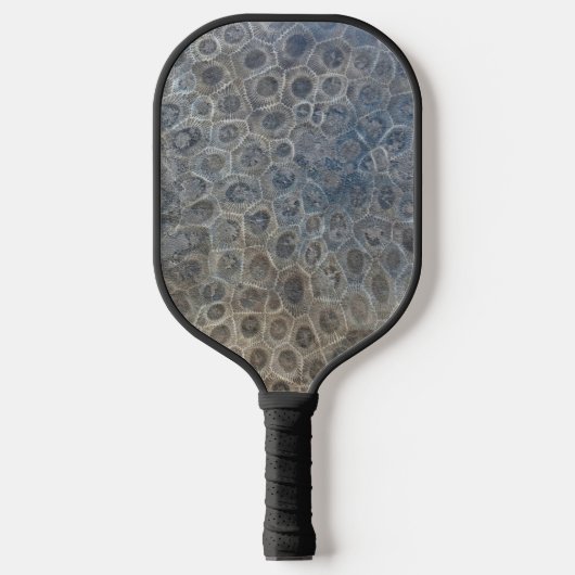 Michigan Petoskey Stone Pickleball Paddle (Voorkant)