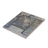 Michigan Petoskey Stone Tegeltje (Zijkant)