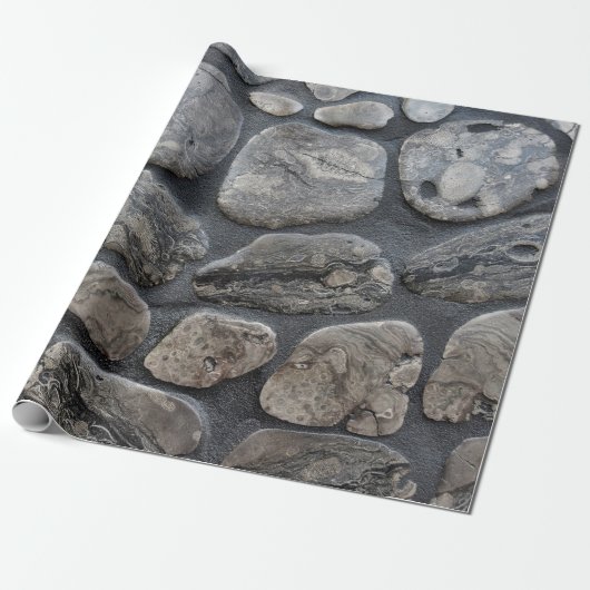 Michigan Petoskey Stones Cadeaupapier (Uitgerold)