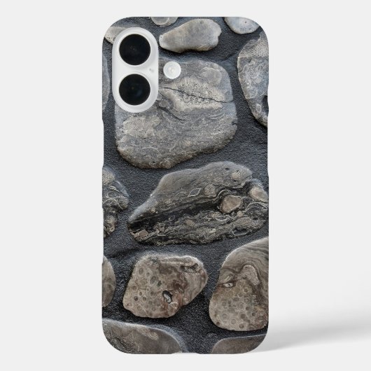 Michigan Petoskey Stones Case-Mate iPhone Case (Achterkant)