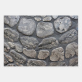 Michigan Petoskey Stones Inpakpapier Vel (Voorkant 2)