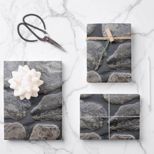 Michigan Petoskey Stones Inpakpapier Vel (Voorkant)